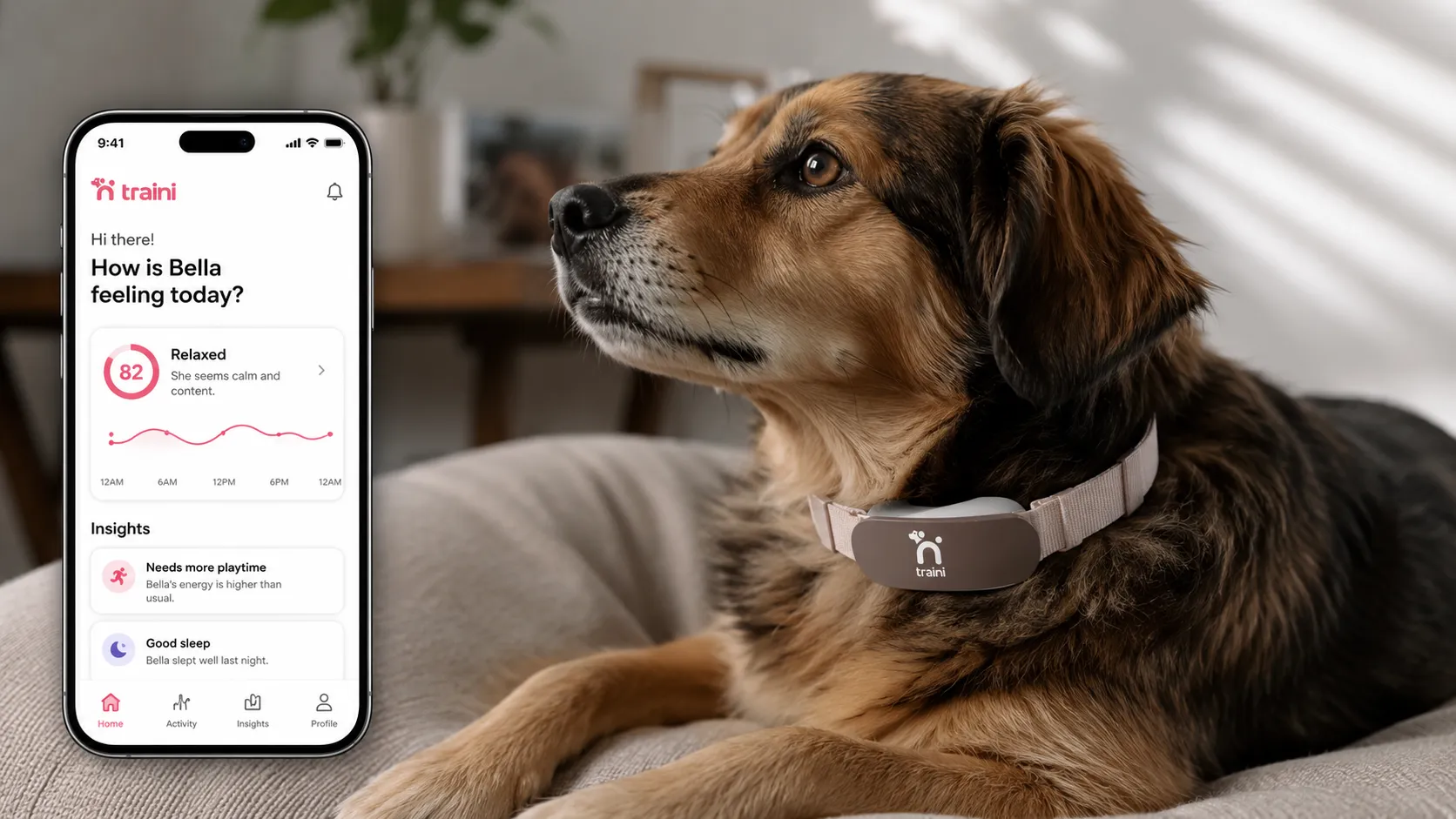 Why Investors Are Backing Traini’s Big Bet on AI-Powered Dog Communication