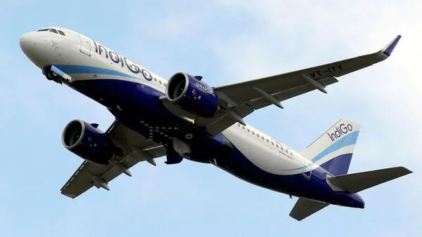 How IndiGo Built India's Only Consistently Profitable Airline — and What Happens When the Machine Slips