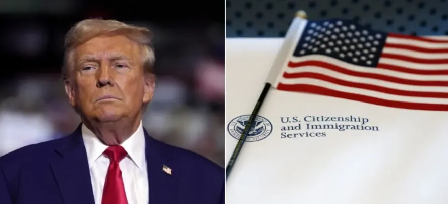 The American Dream Reversed: How an Indian-Origin CEO Became One of 17 Targets in Trump's Largest-Ever Citizenship Crackdown