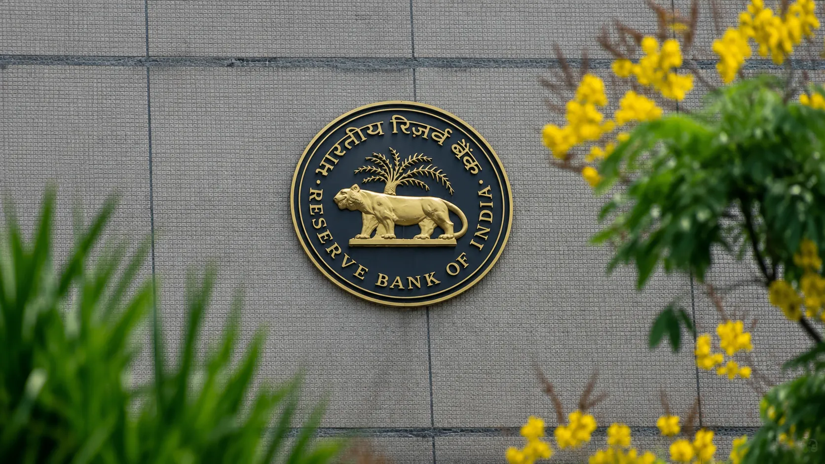 Indian Companies Are Borrowing Abroad Again: ECB Filings Jump 25.8% as IRFC and NTPC Lead a $4.74 Billion Month