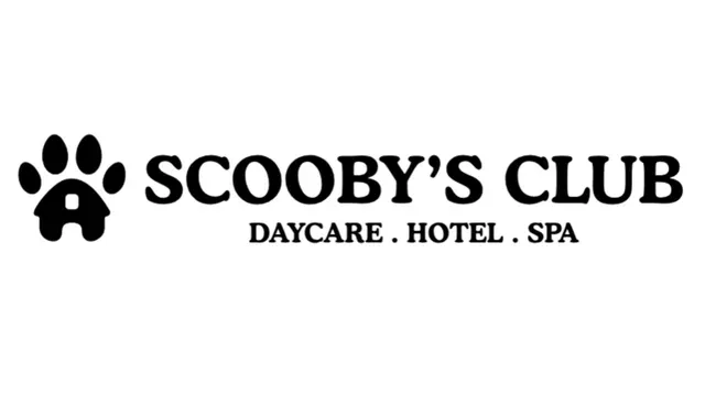 Bengaluru's Scooby's Club Raises $250,000 Pre-Seed to Expand Dog Daycare Model