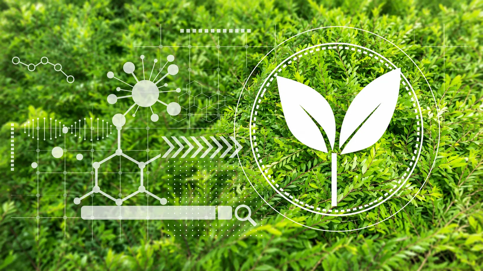 UK Commits $541 Million Loan to Brazil-Led Tropical Forests Forever Facility