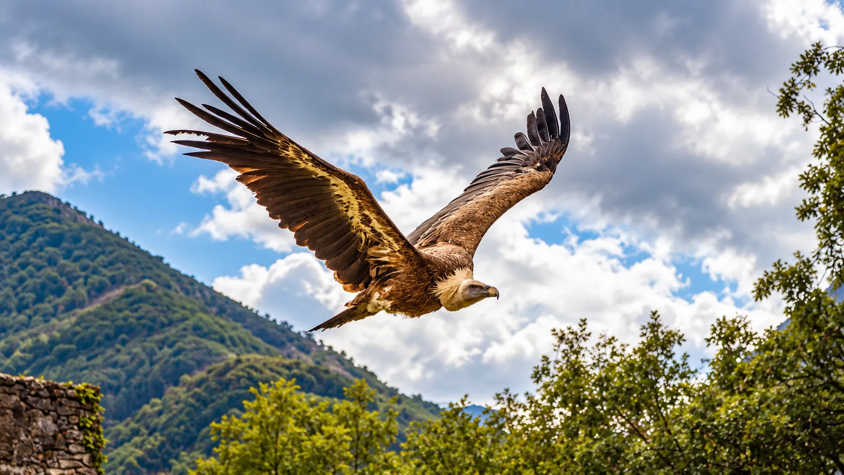 EU Awards Over €390 Million to 135 LIFE Projects Across All 27 Member States for Climate and Nature