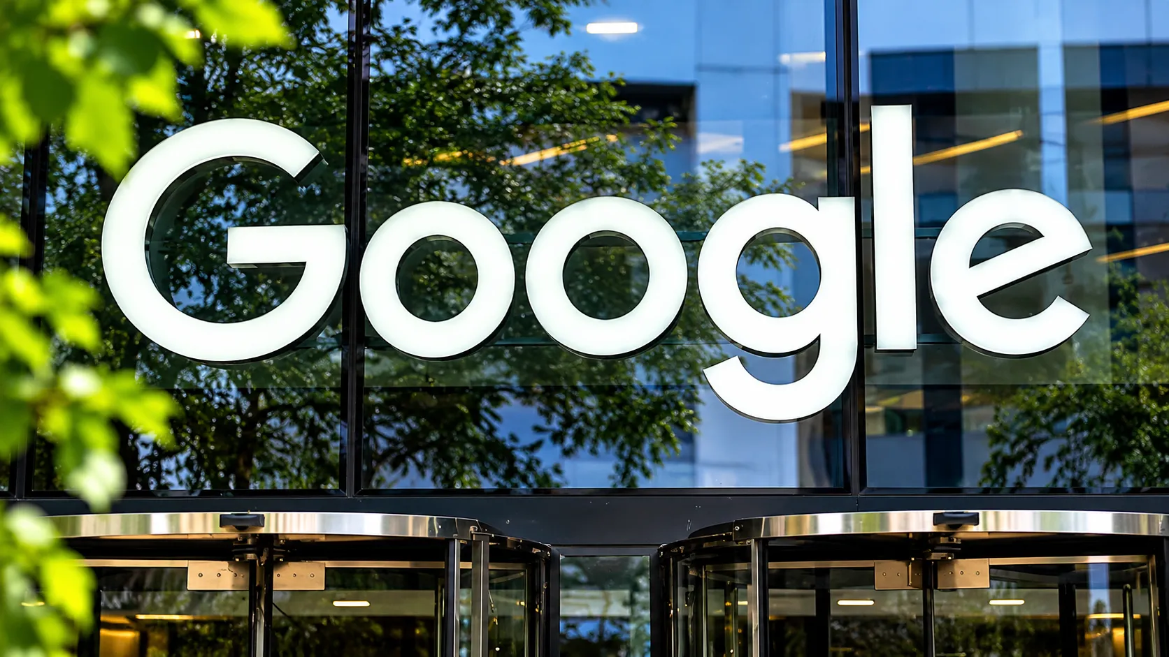 Google Signs Deal With Working Trees to Remove 270,000 Tonnes of CO2 Through Silvopasture in Brazil